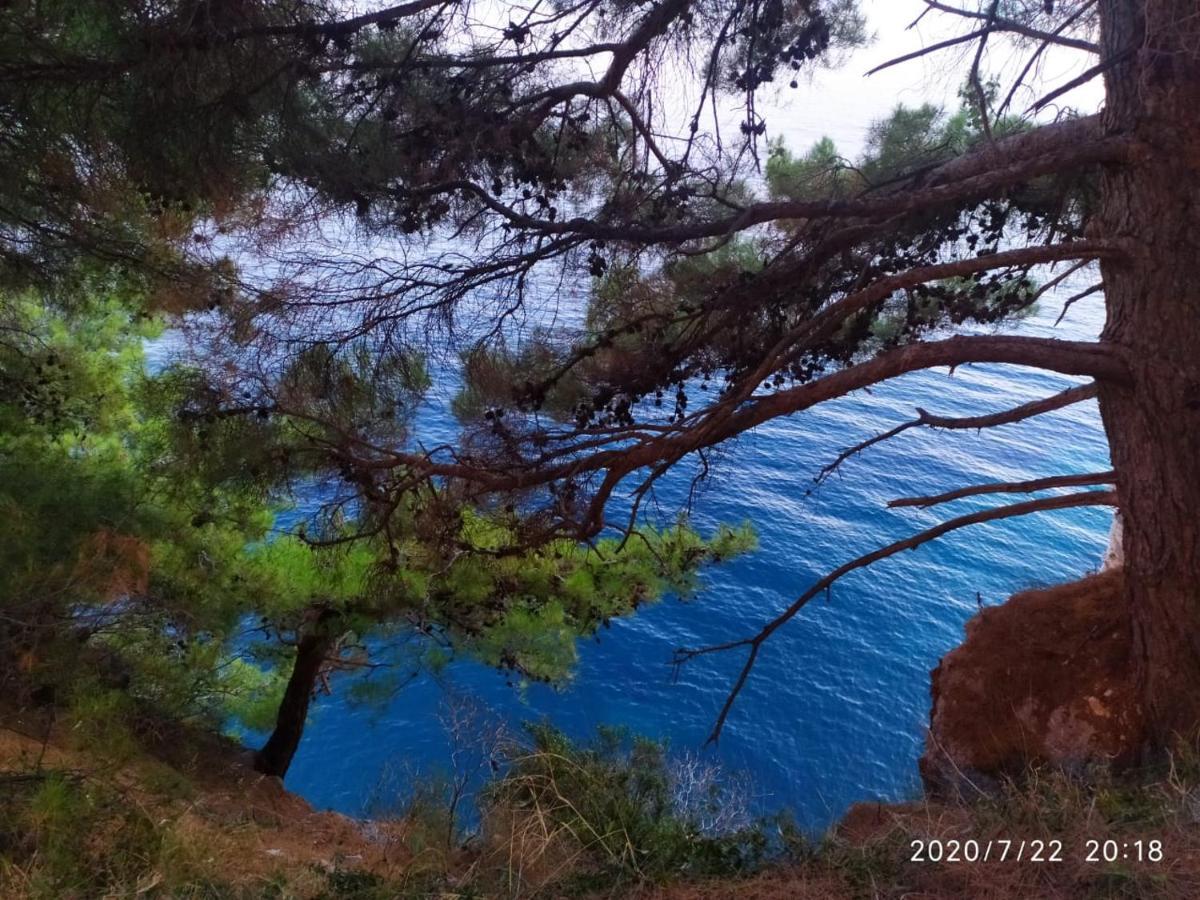 Apartamenti Enjoy Petrovac Exterior photo